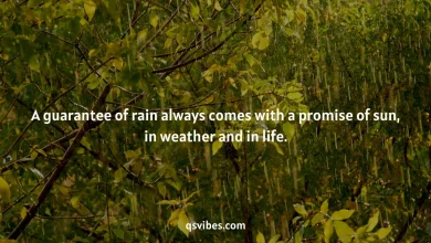 Rain Quotes