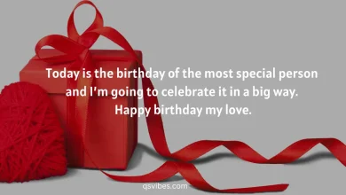 Happy Birthday Love Quotes