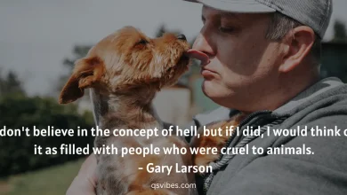 animal lover quotes 2