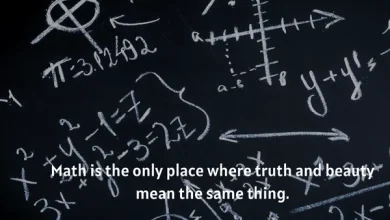 Math Quotes