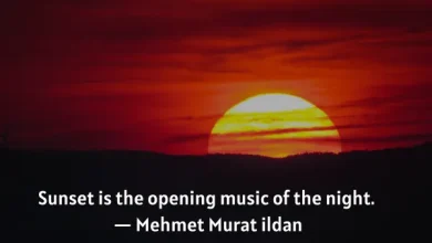 Sunset Quotes