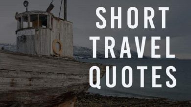 Travel Quotes for Instagram