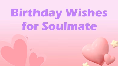 happy birthday to my soulmate