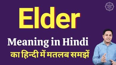 Elder Meaning in Hindi