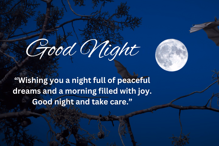 heart touching good night quotes