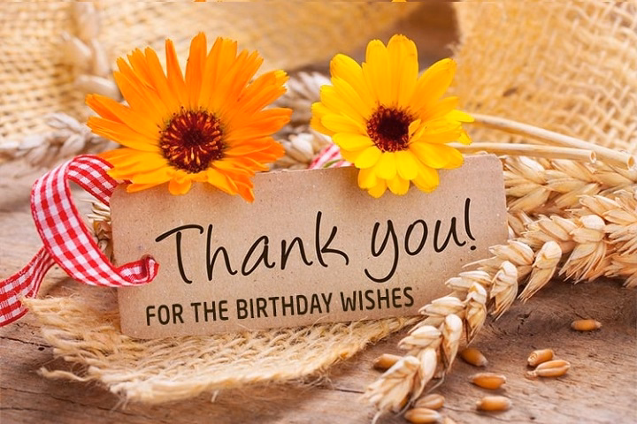 thank you for the birthday wishes imagesdgfdhfh